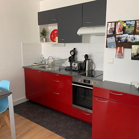 Appartement Le Petit Bruxelles Au Calme à Toulouse Extérieur photo