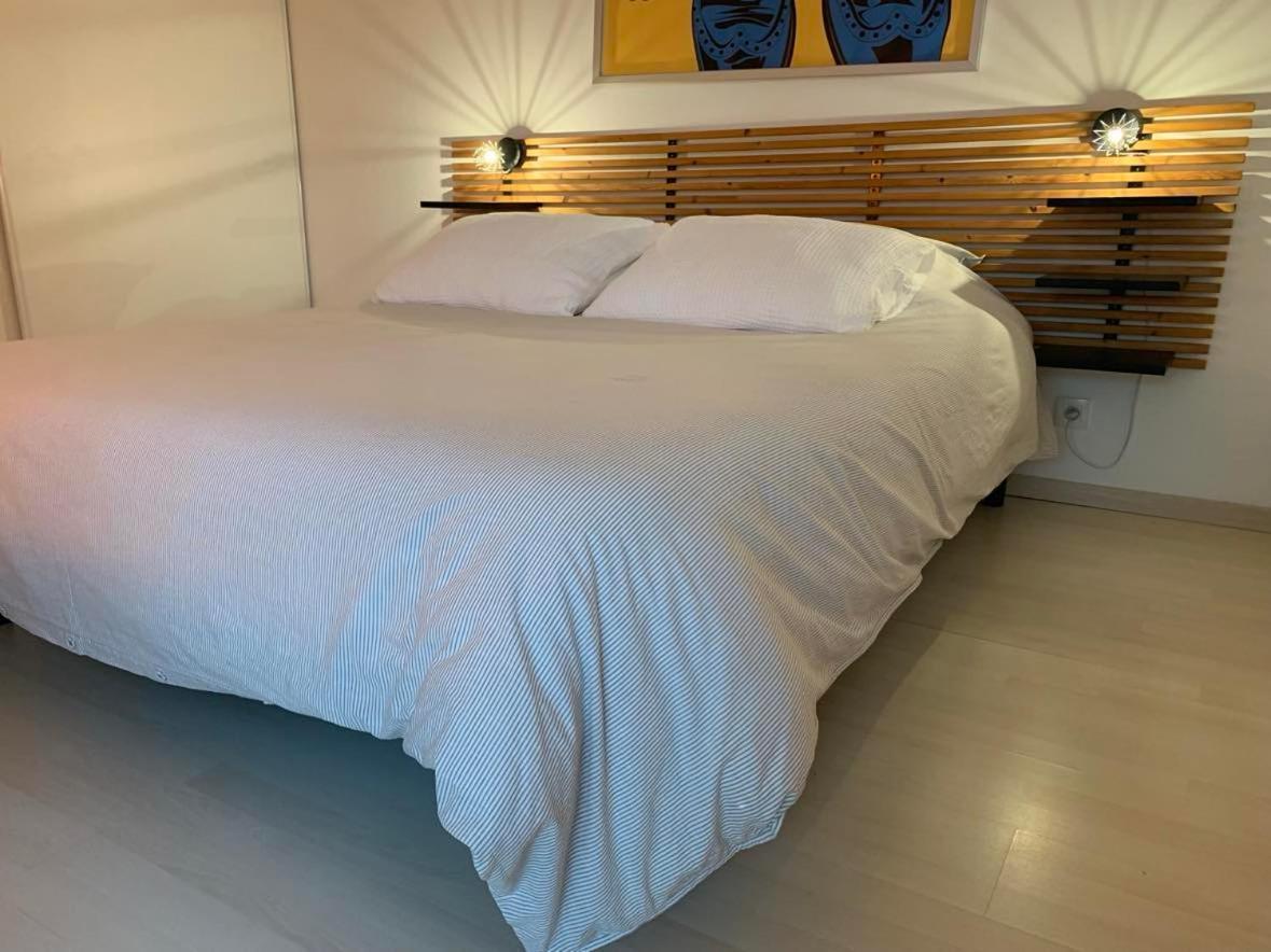 Appartement Le Petit Bruxelles Au Calme à Toulouse Extérieur photo